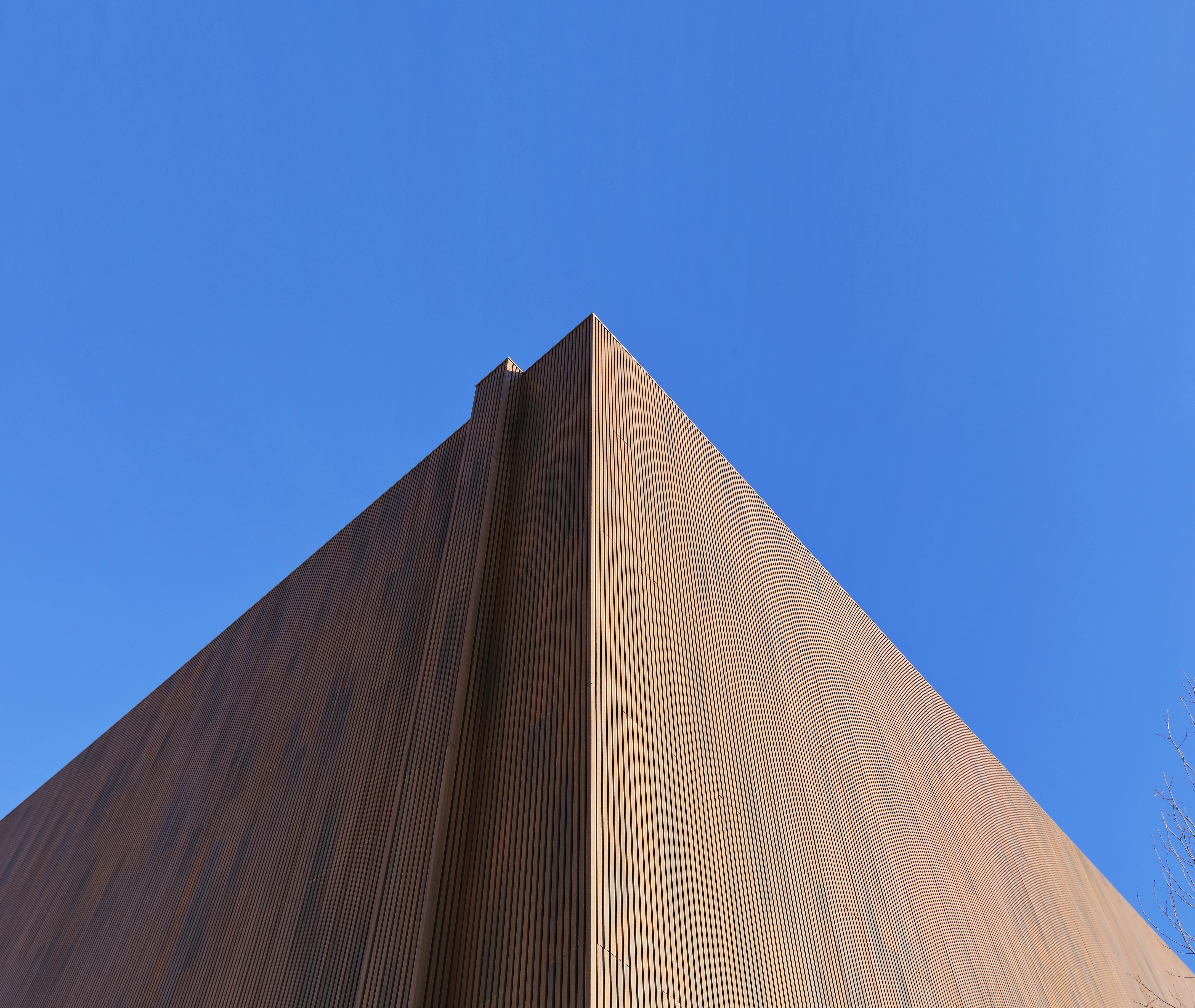Composiet Rhombusprofielplank Castellation 25 2.5 x 19.6 cm (25 x 196 mm) Red Cedar - Lengte 290 cm - Afbeelding 2